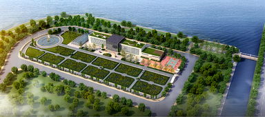 青島海水稻研發中心揭牌，首代稻種預計11月問世，技術開發引領農業新篇章